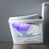 Smart Ultraviolet Sterilization Deodorizer Lamp, Cleaning & Maintenance