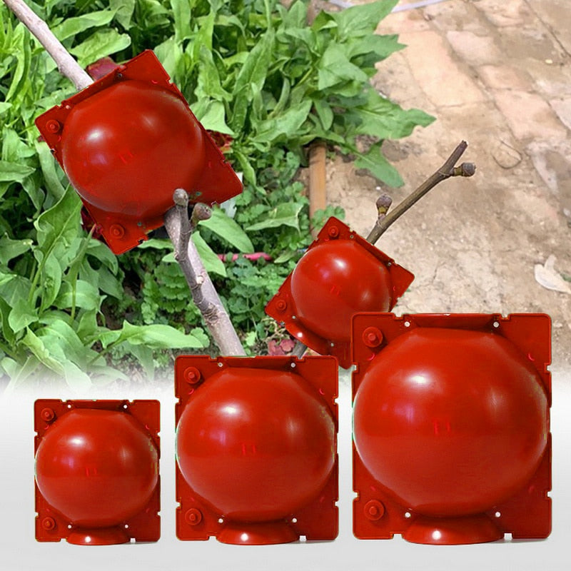 5pcs Plant Rooting Ball Grafting Rooting Growing Box Breeding Case For Garden Plant High-pressure Propagation Box Sapling,