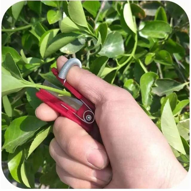 Vegetable Thump Knife Separator Vegetable Fruit Harvesting Picking Tool for Farm Garden Orchard #40, 
